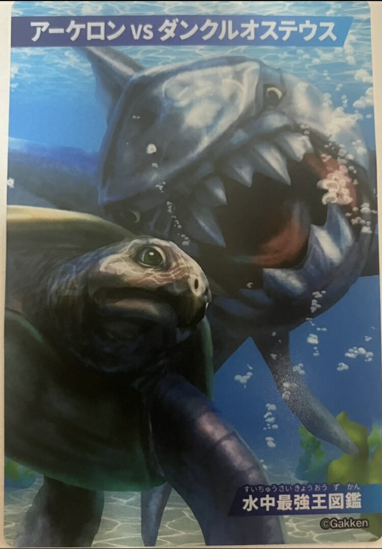 ϥޥ㤨ֺǶ޴եɥߥVS󥯥륪ƥǶ޴ ȥ쥫 ե륿פβǤʤ200ߤˤʤޤ