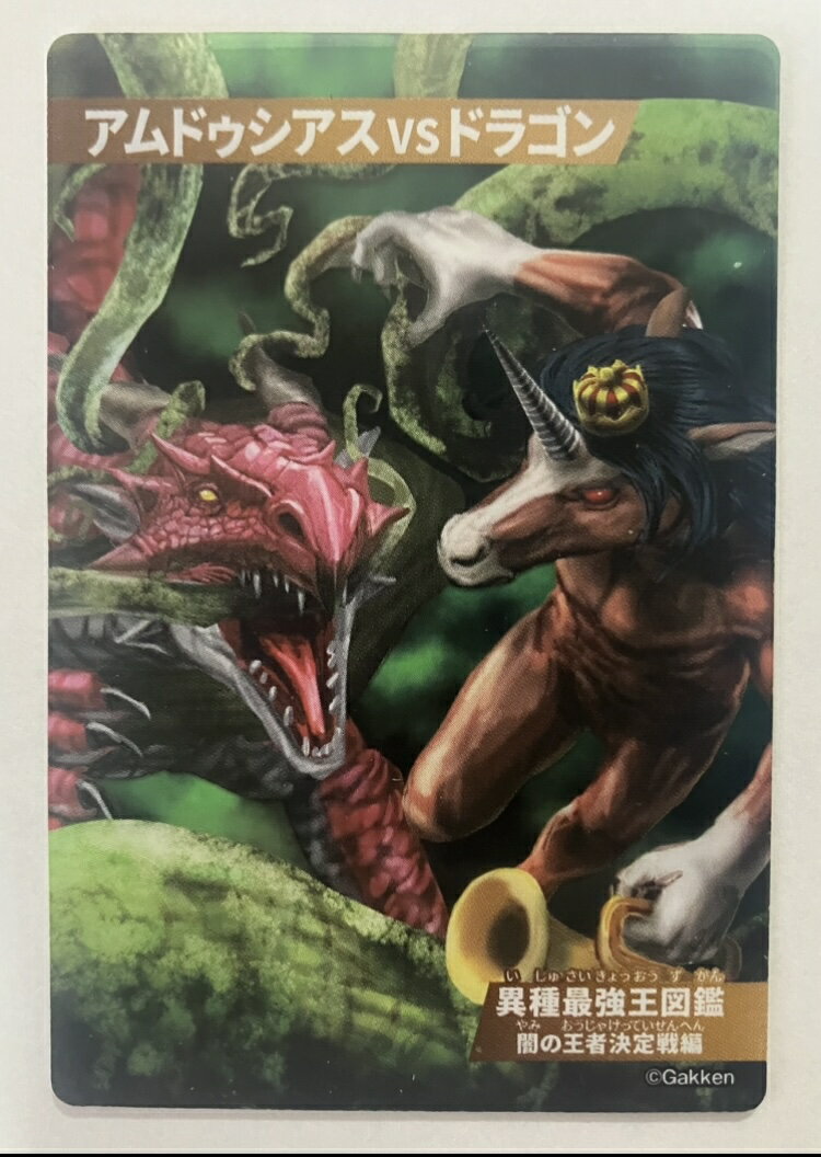 ϥޥ㤨ֺǶ޴եɥߥɥVSɥ饴ۼǶ޴ ǤβԷ ȥ쥫 ե륿פβǤʤ200ߤˤʤޤ