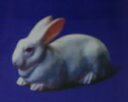海洋堂 チョコQ アニマテイルズ ペット動物 第3弾 71 P33 ウサギ 日本白色種 TAKARA 【中古】