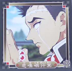 ǤοϡĤΤ䤤СC.17ٹ̽(Ҥᤸޤ礦ᤤ)饯󥹥