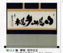 茶道具 軸 横物 別作仕立 「山是山水是水」大徳寺 黄梅院 小林太玄師