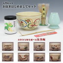 茶道具 入門セットお抹茶はじめましてセット●ステンレス楊枝の色柄は一例です。柄は当店におまかせください。