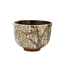 ポイント3倍以上(楽天カード利用) 茶道具 抹茶茶碗(まっちゃちゃわん) 京焼 掛分 芽吹柳 茶碗 中村 良二