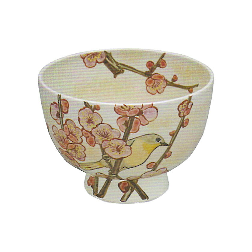 楽天市場】鶯梅（抹茶茶碗｜茶道具・湯呑・急須）：コーヒー・お茶用品