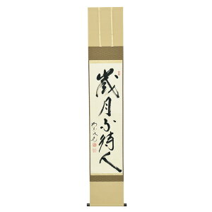 ポイント3倍以上(楽天カード利用) 茶道具 掛軸(かけじく) 軸一行 「歳月不待人」 田島碩應老師 堺南宗寺(大徳寺526世)