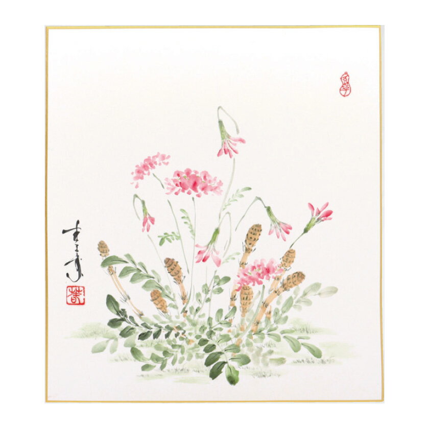 Rakuten - ポイント3倍以上（楽天カード利用） 茶道具 色紙（しきし）・色紙掛（しきしかけ） 自画色紙「春草の図」 久田 春景画