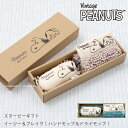 スヌーピー ハンドモップ&ドライモップセット 箱入り『イージー&ブレイク』(ブルー ベージュ) [ peanuts SNOOPY snoopy グッズ 大人 ...