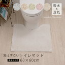 抗菌 防臭 トイレマット『実はすごい』シリーズ 約60×60cm [ 限定 別注 洗える 吸水 速乾 子供 大人 防カビ 業務用 SDS エスディーエス トルネ...