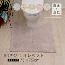 抗菌 防臭 トイレマット『実はすごい』シリーズ 約75×75cm [ 限定 別注 大判 洗える 吸水 速乾 子供 大人 防カビ 業務用 SDS エスディーエス ...