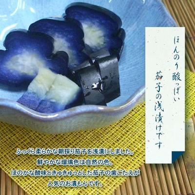 【おなす】 なすび 京つけもの 浅漬け 京都