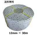 送料無料 スパンエステルロープ エステルスパンロープ 12mm×30m 綱引きロープ 三つ打ち ロープ 線入 ボートロープ アンカーロープ 係船 係留 ボート ...