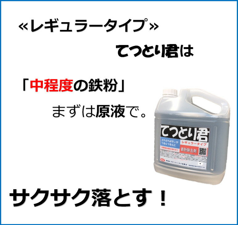 鉄粉取り 鉄粉除去剤 融雪剤 特典付き 爆買い送料無料 すぐに使える5点セット 洗車用品 送料無料 エヌ シー 車 レギュラータイプ ケイ和歌山 4L レギュラータイプ すぐに使える てつとり君 鉄粉取り 鉄粉除去剤 融雪剤 特典付き 爆買い送料無料 すぐに使える5点セット 洗車用品 送料無料 エヌ シー 車 レギュラータイプ ケイ和歌山 4L レギュラータイプ すぐに使える てつとり君