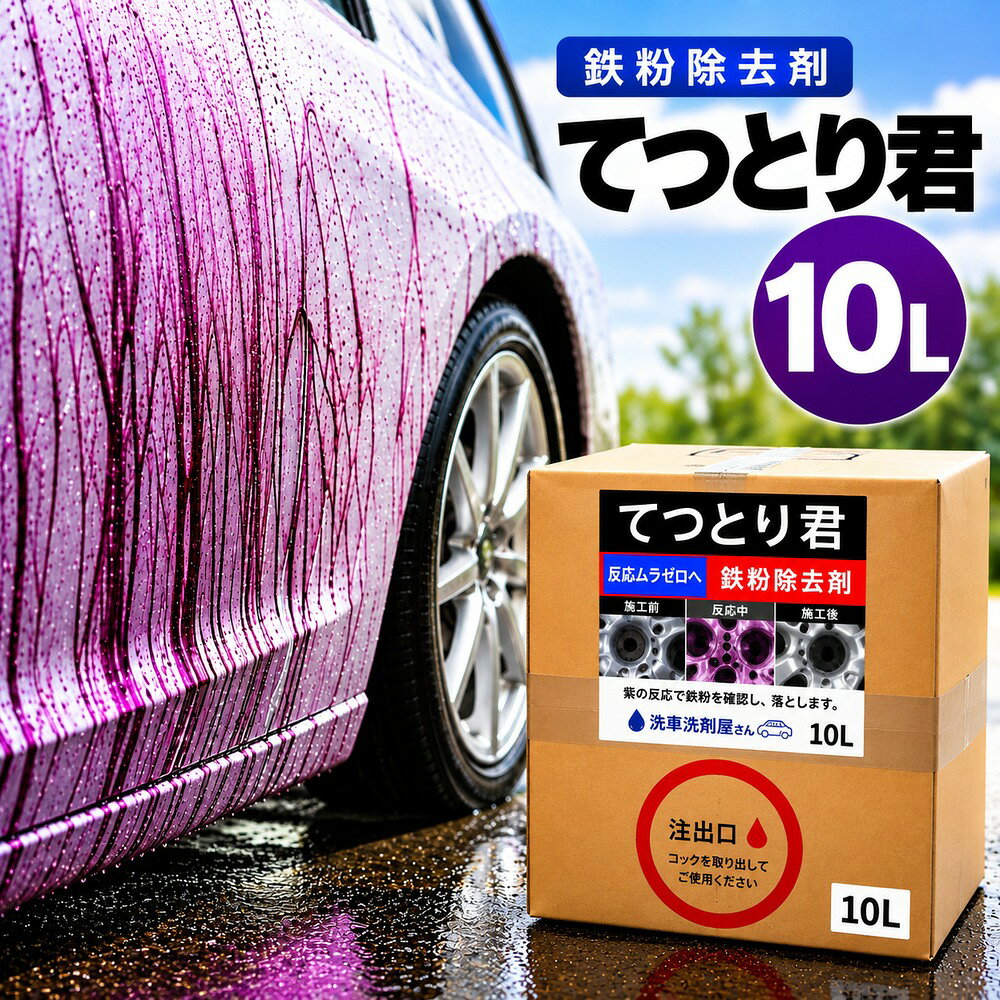 楽天市場】鉄粉除去剤 てつとり君 10L 大容量 業務用 車 鉄粉除去 鉄粉