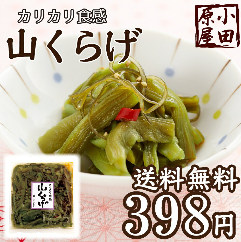 山くらげ【送料無料】人気！小田原屋おすすめ高級食材・山くらげ120g