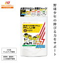 【阪神タイガースコラボ】セノビルプラス サプリ お菓子サプリ カルシウム アルギニン マグネシウム ビタミンD GABA 乳酸菌 ビフィズス菌 亜鉛 鉄 グリシ...