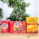 保存缶 たこ焼きクラッカーBOX 極上あたり前田のクラッカー クラッカー お菓子 前田製菓 懐かしい おやつ 大阪 大阪土産 保存食 常備食 防災用品 防災食 食品 リッチ プレミアム ご当地 おつまみ スナック