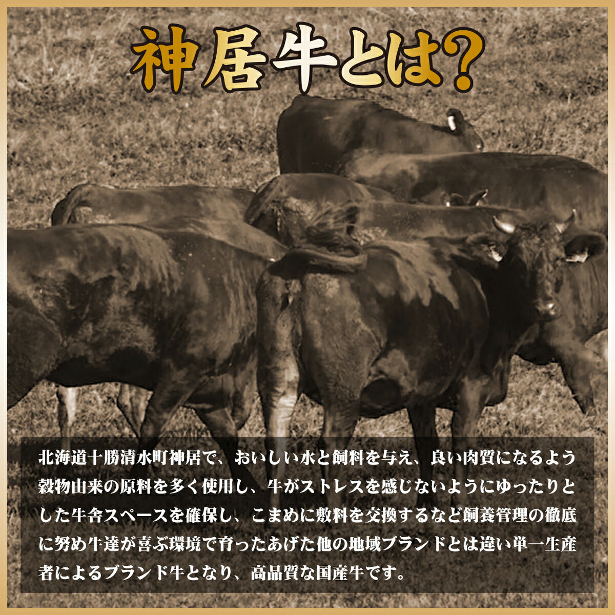 父の日 福袋 肉 牛肉 国産牛 肉重 セット すき焼き しゃぶしゃぶ ギフト プレゼント 贈答 お取り寄せ 千里屋厳選 お肉重セット 庵 北海道産 神居牛 クラシタロース ヘルシーモモ 600g 3