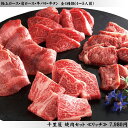 【ふるさと納税】※レビューキャンペーン※ 宮崎牛 ＆ 宮崎県産豚 焼肉セット 肉 牛肉 豚肉 国産 黒毛和牛 BBQ バーベキュー セット 詰め合わせ 肩ロース ウデ うで 豚バラ ぶた カルビ ミヤチク 肉質等級4等級以上 4等級 5等級 宮崎県 川南町 E0658