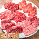 お中元 焼肉 セット 肉 牛肉 和牛 佐賀牛 バーベキュー BBQ ギフト プレゼント 内祝い お返し 贈答 お取り寄せ ラグジュアリー 焼肉セット 1.0kg