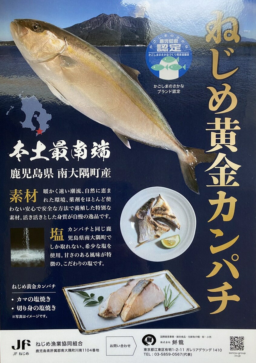 ねじめ漁業共同組合とコラボレーション商品です 割引クーポン ねじめ黄金カンパチ 8枚入り 塩焼き ムニエル 照り焼き 魚 おかず 焼き魚 切り身 海鮮 プレゼント プレミアム オススメ ギフト ブランド 国産