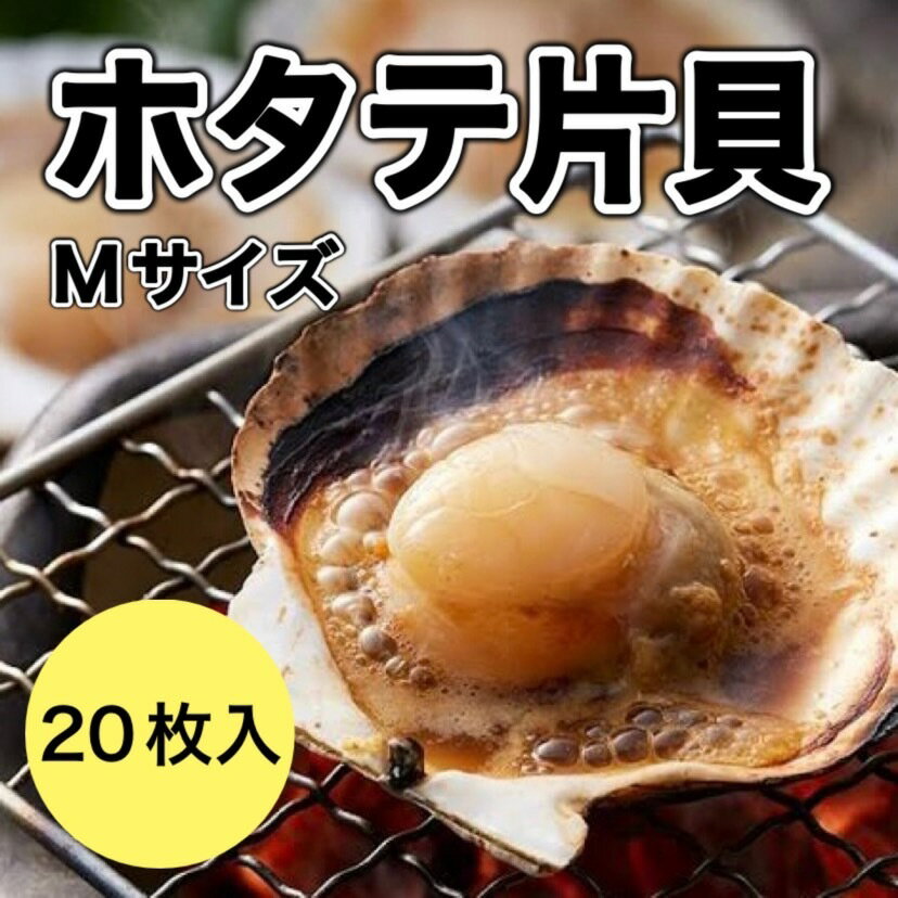 ホタテ片貝10枚入り×2　ギフト プレゼント BBQやギフトにも★焼いて醤油かけると絶品です！！醤油バターにしても最高！ 1