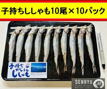 子持ちししゃも10尾×10パック