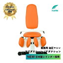 【送料&搬入設置無料】油圧式マシン 日本製シリンダー 高齢者 高齢者施設 高精度油圧システム 静かでスムーズな動作 長寿命設計 高品質素材 低衝撃トレーニング ...