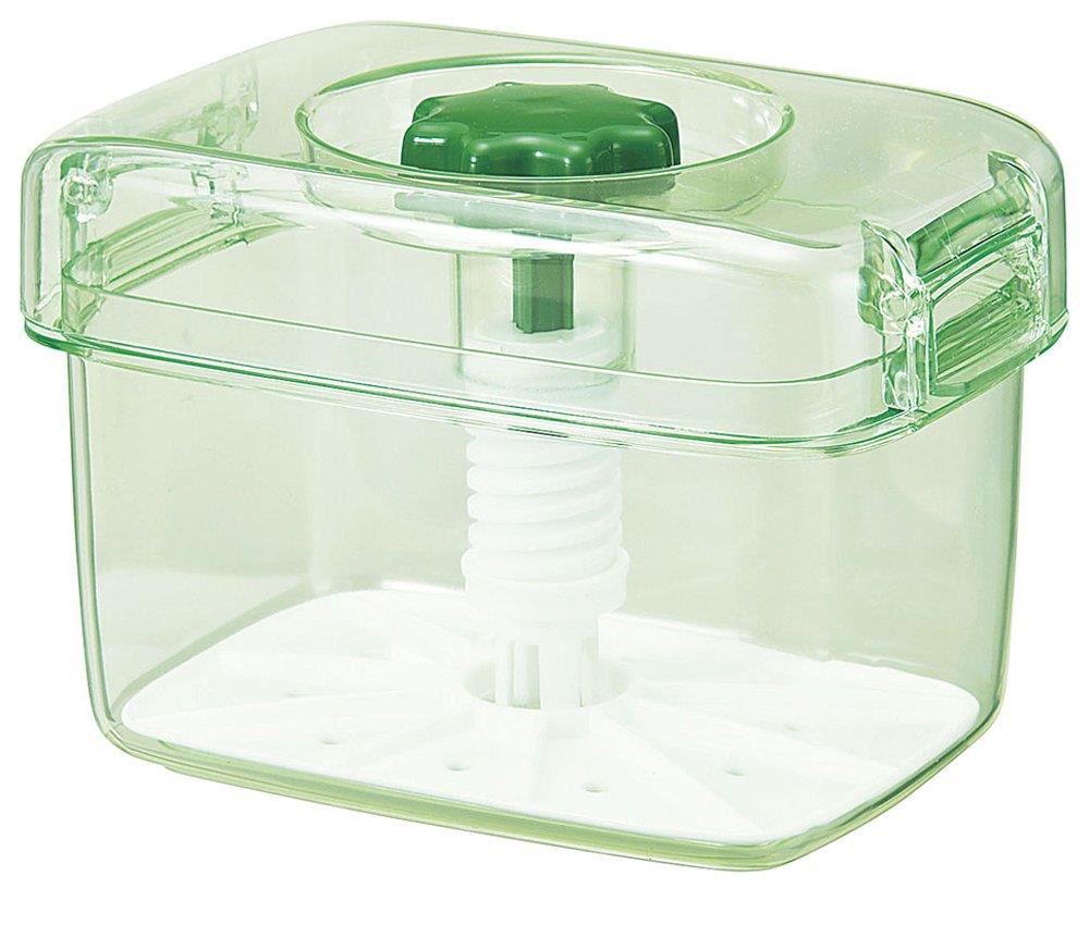 新輝合成(Shinki Gosei) トンボ 保存容器 漬物容器 簡単 手軽に漬けられる 2.2リットル スケルトングリーン 幅22.5×奥行14×高さ14cm 保存容器 即席 ピクレ K22 日本製