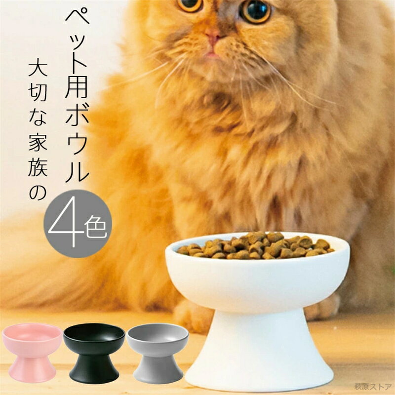 ペット用給餌器 アウトレット ペット用ボウル 猫用 犬用食器 猫 フードボウル 餌入れ エサ入れ 餌皿 エサ皿 食器 磁器 犬 フードボール 高さがある 食べやすい 餌 エサ エサいれ 皿 お皿 美濃焼 電子レンジ食器洗浄機対応