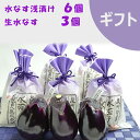 【泉州特産】水なす浅漬（水なすぬか漬）6個　と　生の水ナス　3個【ギフト】母の日・父の日