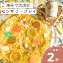 【レモネードパック】 センサリープレイ レモネード 夏休み お店屋さんごっこ 誕生日 脳トレ 2 歳 誕生日プレゼント 子供 おもちゃ 3歳 4歳 5歳 知育玩...