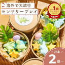 【楽天ランキング1位獲得】【しゅわ ボム ダイナソー 】センサリープレイ 恐竜 おもちゃ 男の子 プチギフト 実験 夏休み 自由研究 誕生日プレゼント プレゼン...
