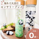 【14時間限定 5%オフ 15日23:59まで】【センサリーボトル】パンダ モノトーン セット センサリープレイ 赤ちゃん 泣き止む おもちゃ 0歳 1歳 海外...
