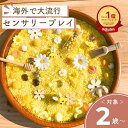 【14時間限定 5%オフ 15日23:59まで】【楽天ランキング1位獲得】【 はち キット】 センサリープレイ 子供 おもちゃ 夏休み 2歳 3歳 4歳 5歳 誕生日プレゼント プレゼント ギフト お祝い モンテッソーリ プレイドー 知育玩具 海外 ごっこ遊び