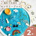 【期間限定5%オフ 14日23:59まで】【在庫限り】【お天気キット】センサリープレイ 子供 おもちゃ 誕生日プレゼント プレゼント ギフト お祝い プレイドー...