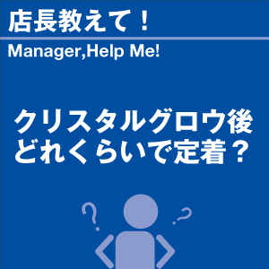 ご購読者様限定！当店オリジナルグ