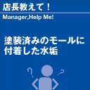 ご購読者様限定！当店オリジナルグ