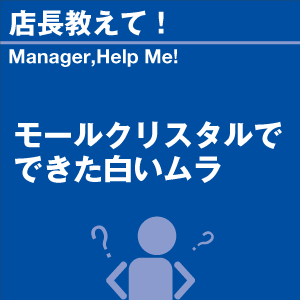 ご購読者様限定！当店オリジナルグ