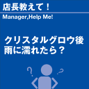 ご購読者様限定！当店オリジナルグ