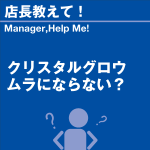 ご購読者様限定！当店オリジナルグ