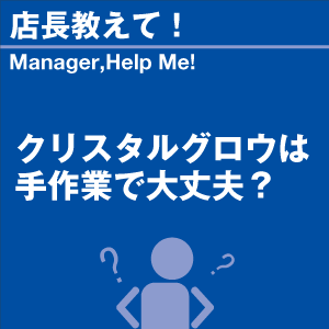 ご購読者様限定！当店オリジナルグ