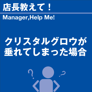 ご購読者様限定！当店オリジナルグ