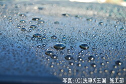 �����ɼ��͸��ꡪ��Ź���ꥸ�ʥ륰�å����ò��ˤƤ����桪����2���ʤ�ꤪ���Ӥ��������ޤ������ͥå����ȥ�å�(45cm)���磻�ԥ󥰥�����(14.5cm��14.5cm)���������1���¤ꢨ�ܥڡ����ϥڡ�����ǾҲ𤷤Ƥ��뾦�ʤ����䤹��ڡ����ǤϤ���ޤ���