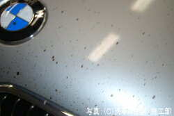 �����ɼ��͸��ꡪ��Ź���ꥸ�ʥ륰�å����ò��ˤƤ����桪����2���ʤ�ꤪ���Ӥ��������ޤ������ͥå����ȥ�å�(45cm)���磻�ԥ󥰥�����(14.5cm��14.5cm)���������1���¤ꢨ�ܥڡ����ϥڡ�����ǾҲ𤷤Ƥ��뾦�ʤ����䤹��ڡ����ǤϤ���ޤ���