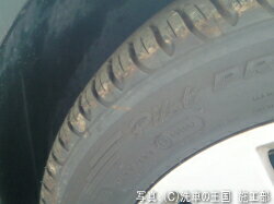 �����ɼ��͸��ꡪ��Ź���ꥸ�ʥ륰�å����ò��ˤƤ����桪����2���ʤ�ꤪ���Ӥ��������ޤ������ͥå����ȥ�å�(45cm)���磻�ԥ󥰥�����(14.5cm��14.5cm)���������1���¤ꢨ�ܥڡ����ϥڡ�����ǾҲ𤷤Ƥ��뾦�ʤ����䤹��ڡ����ǤϤ���ޤ���