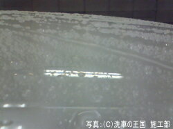 �����ɼ��͸��ꡪ��Ź���ꥸ�ʥ륰�å����ò��ˤƤ����桪����2���ʤ�ꤪ���Ӥ��������ޤ������ͥå����ȥ�å�(45cm)���磻�ԥ󥰥�����(14.5cm��14.5cm)���������1���¤ꢨ�ܥڡ����ϥڡ�����ǾҲ𤷤Ƥ��뾦�ʤ����䤹��ڡ����ǤϤ���ޤ���