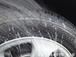 ご購読者様限定!当店オリジナルグッズを特価にてご提供中!下記2製品よりお選びいただけます。・ネックストラップ(45cm)・ワイピングクロス(14.5cm×14.5cm)※お一人様1点限り※本ページはページ内で紹介している商品を販売するページではありません。