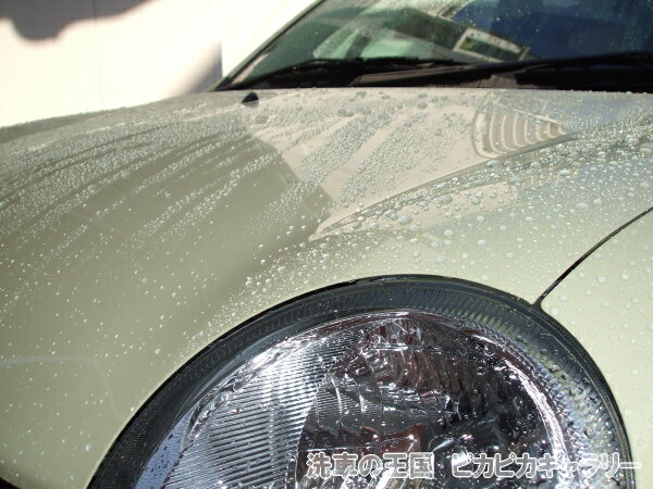 �����ɼ��͸��ꡪ��Ź���ꥸ�ʥ륰�å����ò��ˤƤ����桪����2���ʤ�ꤪ���Ӥ��������ޤ������ͥå����ȥ�å�(45cm)���磻�ԥ󥰥�����(14.5cm��14.5cm)���������1���¤ꢨ�ܥڡ����ϥڡ�����ǾҲ𤷤Ƥ��뾦�ʤ����䤹��ڡ����ǤϤ���ޤ���