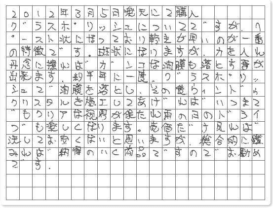 ご購読者様限定！当店オリジナルグ