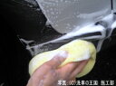 ご購読者様限定!当店オリジナルグッズを特価にてご提供中!下記2製品よりお選びいただけます。・ネックストラップ(45cm)・ワイピングクロス(14.5cm×14....